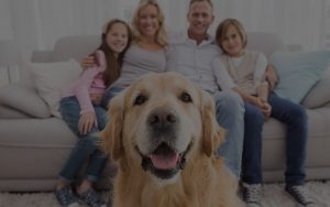 iWave Air Purifier for Homes