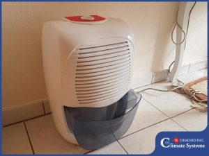 How to Run Your Dehumidifier in the Summer