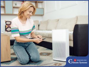 Why You Need an Air Purifier in Your Home This Spring
