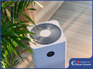 The Importance of Air Purifiers During Allergy Season