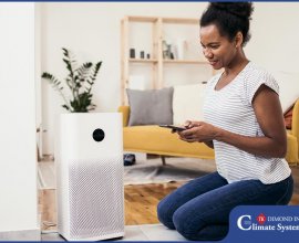 3 Things to Consider Before Buying an Air Purifier
